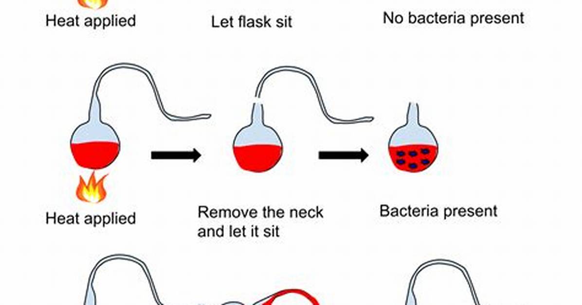 Pasteur’s Experiment