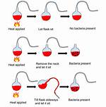 Pasteur’s Experiment