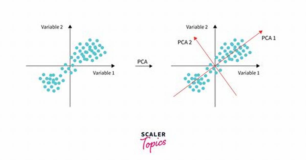 Pca Meaning