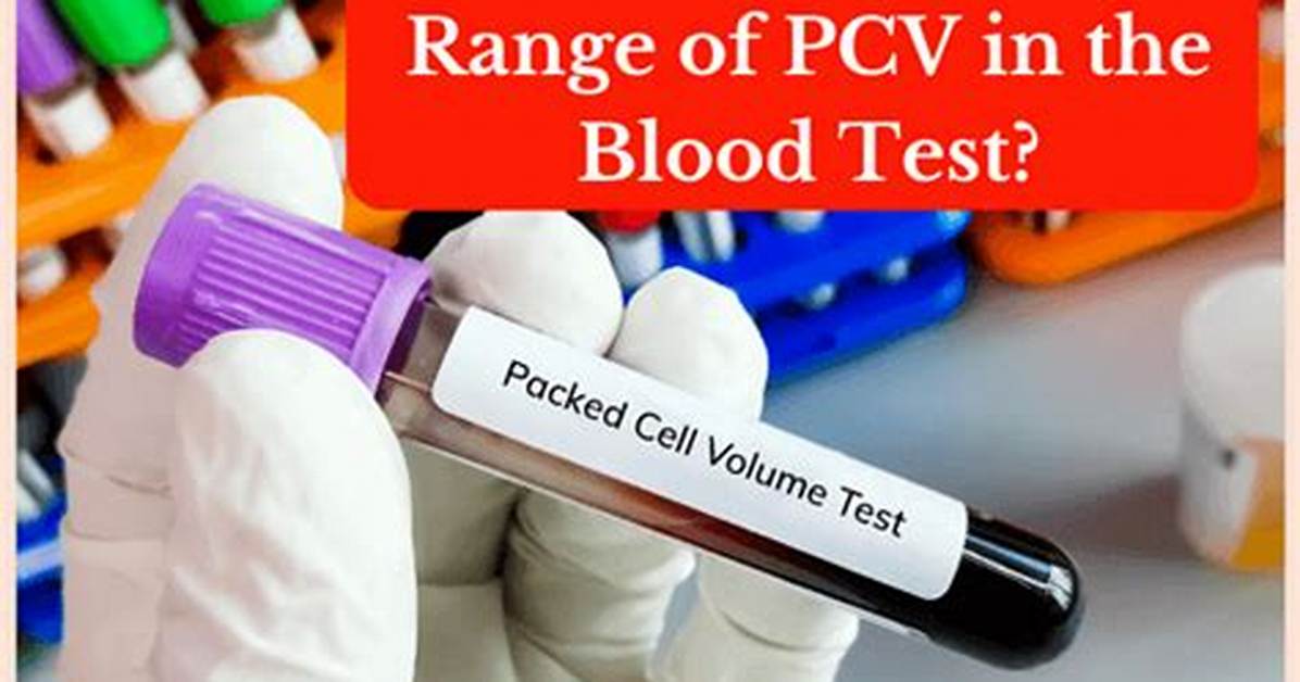 Pcv Test
