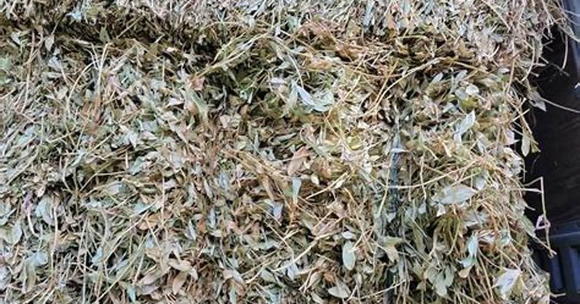 Peanut Hay