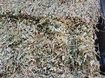 Peanut Hay