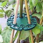 Peas Holder