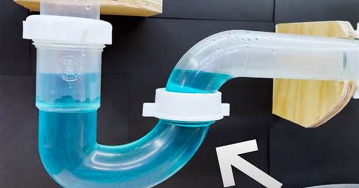 Pee Trap
