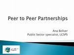 Peer Partnerships