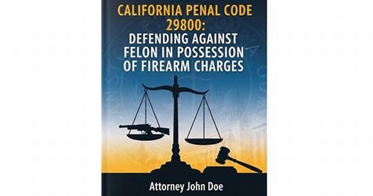 Penal Code 29800