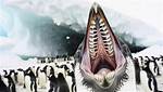 Penguin Teeth