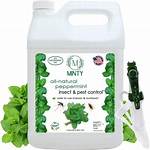 Peppermint Spray for Bugs