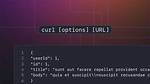 Perform Curl Request in Javascript?