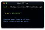 Performing Http Requests with cURL (Using Proxy)