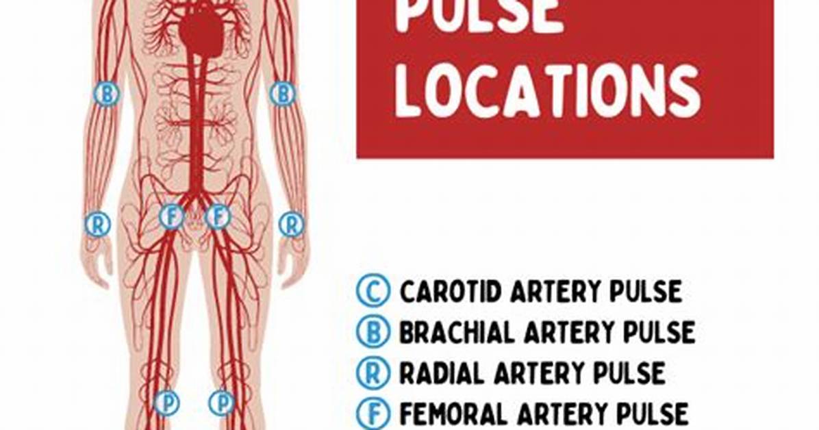 Peripheral Pulse