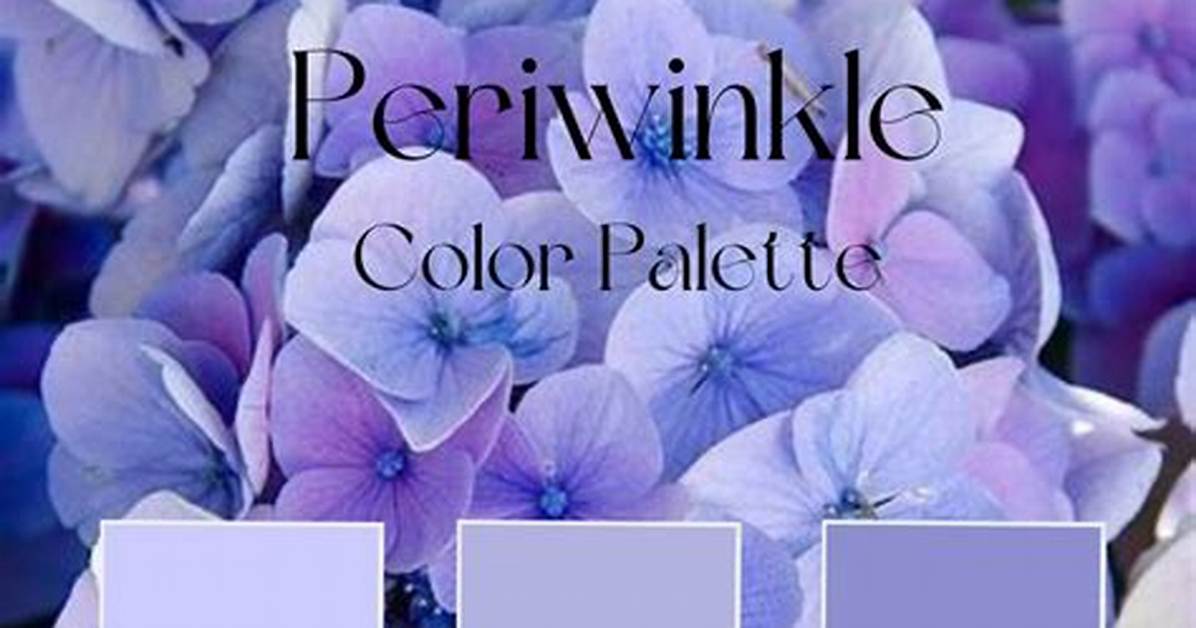 Periwinkle Color