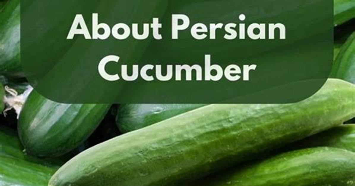 Persian Cucumbers