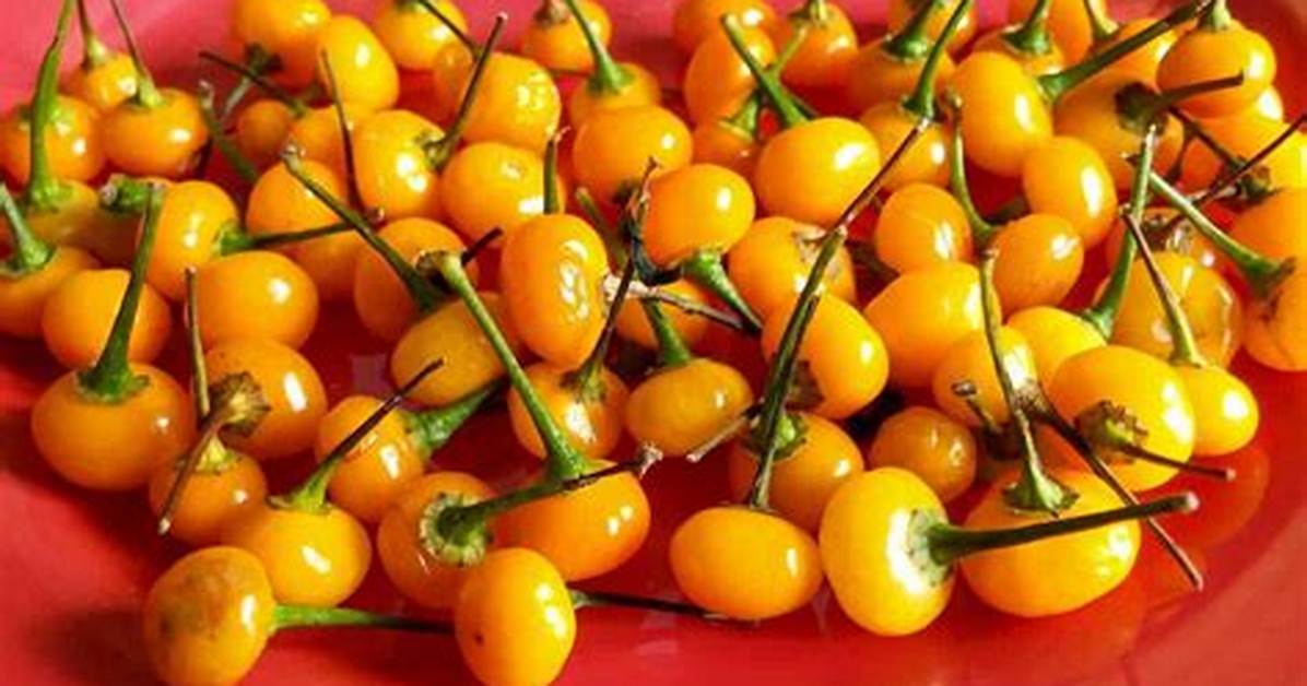 Peruvian Peppers
