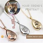 Pet Ashes