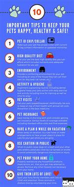 Pet Care Tips to Follow When You Are on a Vacation