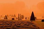 Pete Turner