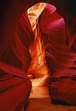 Peter Lik