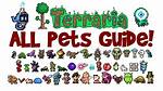 Pets Terraria