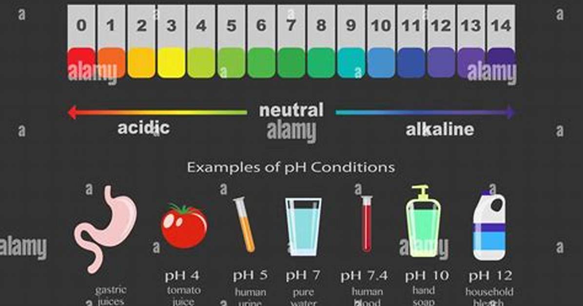 Ph Scale Examples