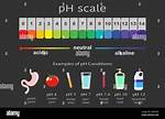Ph Scale Examples