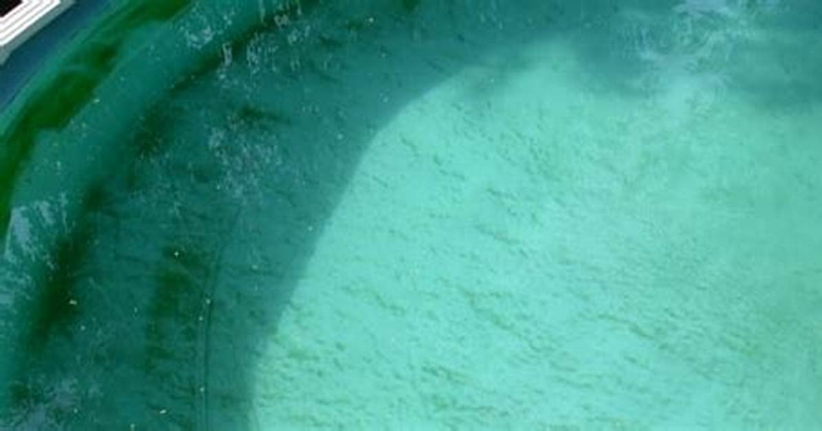 Phosphates in Pool