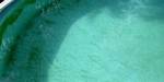 Phosphates in Pool