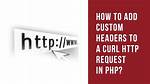 Php cURL Custom Headers