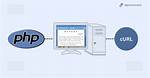 Php - Debugging Curl