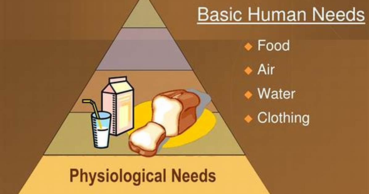 Physiological Needs