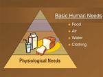 Physiological Needs