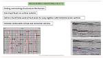 ___-Picking (Fault Finding)
