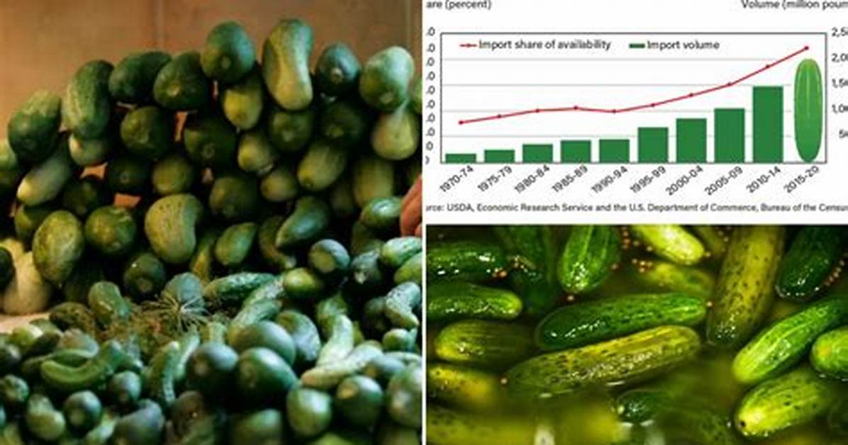 Pickle Shortage