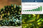Pickle Shortage
