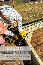 Pig's Enclosure