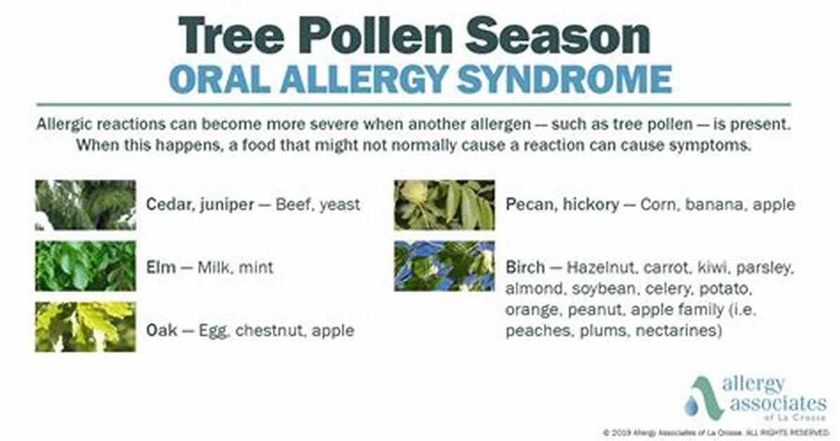 Pine Tree Allergy