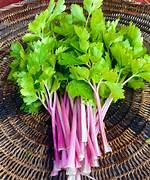 Pink Celery
