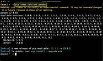 Pip Uses Incorrect Cached Package Version, Instead of the User-Specified Version