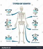 Pivot Joint Examples