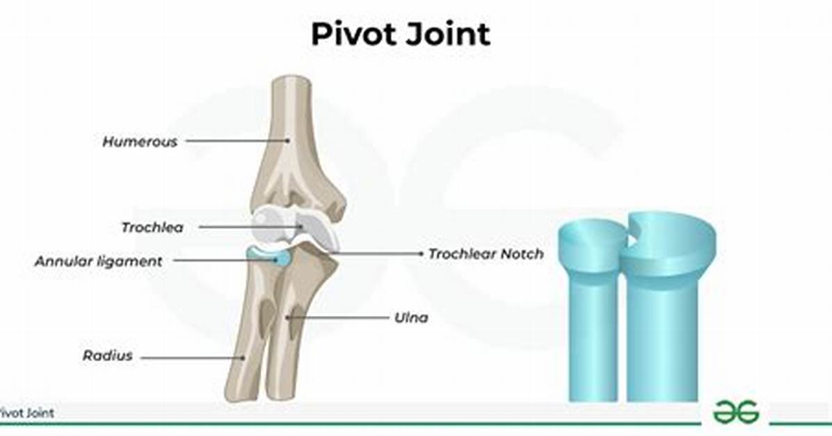 Pivot Joints