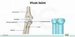 Pivot Joints