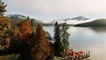 Placid