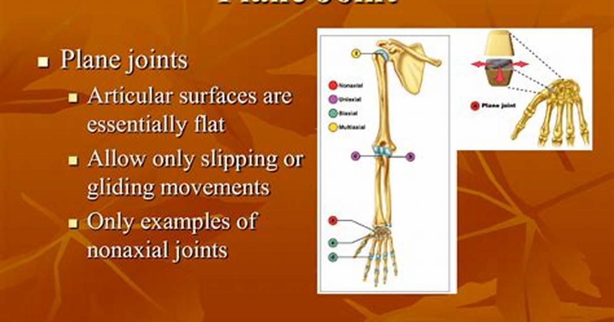 Plane Joint Examples