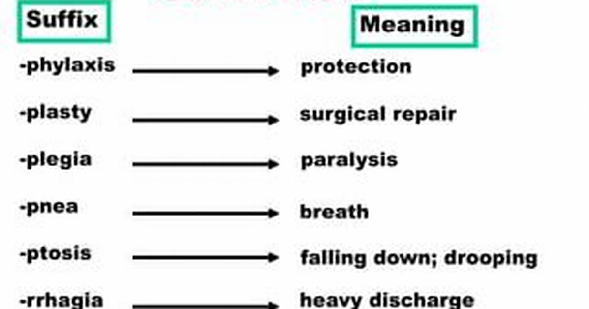 Plasty Suffix