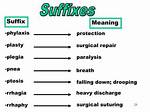 Plasty Suffix