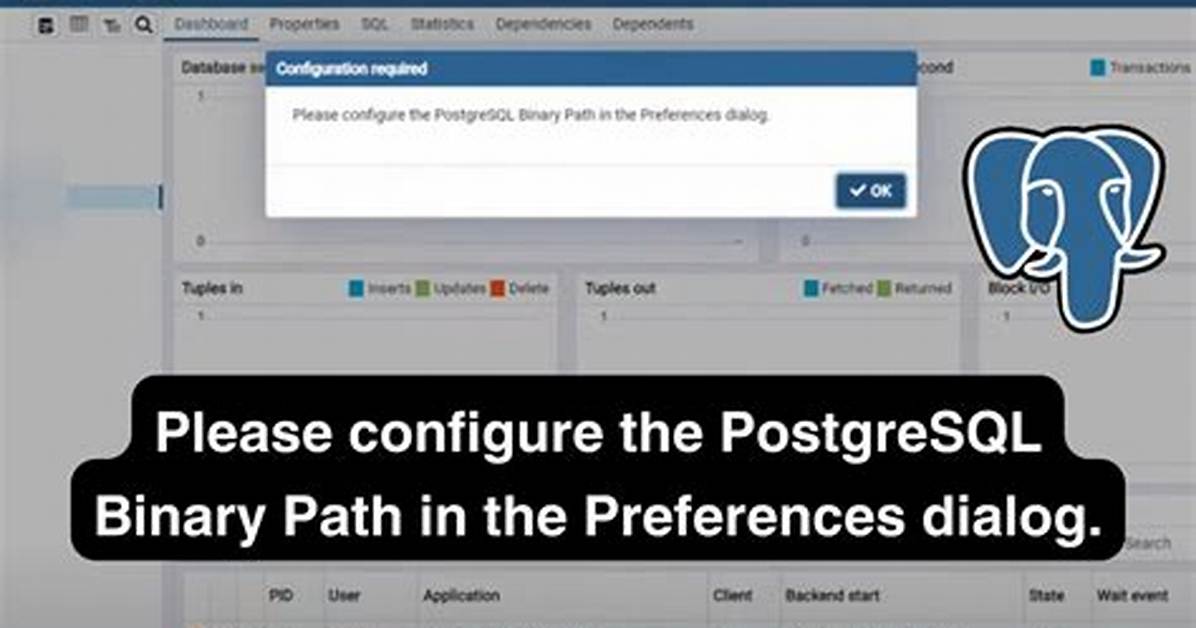 Please Configure the Postgresql Binary Path in the Preferences Dialog
