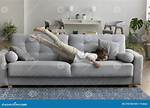 Plopped Down on a Sofa