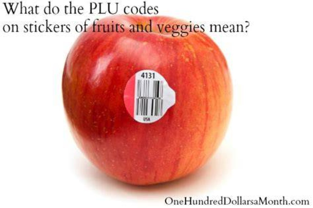 Plu Meaning