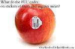 Plu Meaning