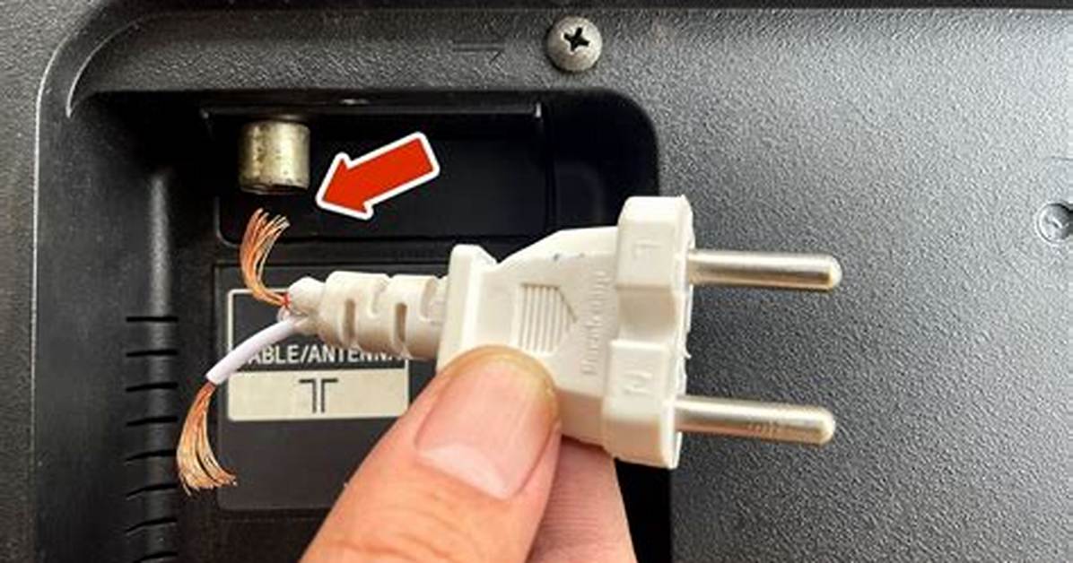 Plug Tv
